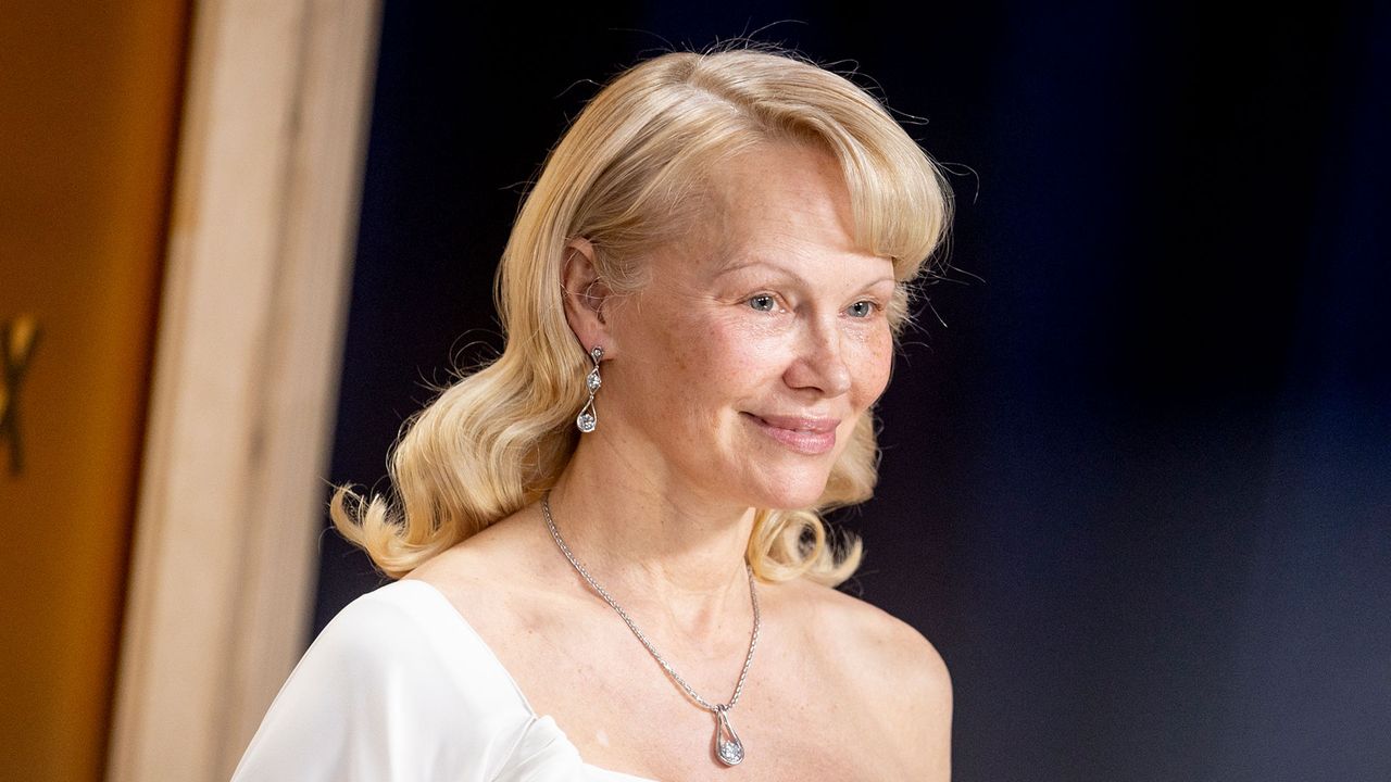 Sadece Pamela Anderson'a gönderilen bir deniz bakım kesimi olabilir
